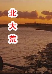 白桃花在线